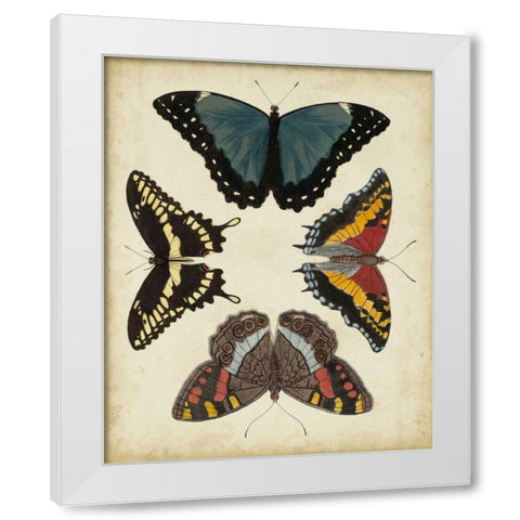 Display of Butterflies I White Modern Wood Framed Art Print by Vision Studio