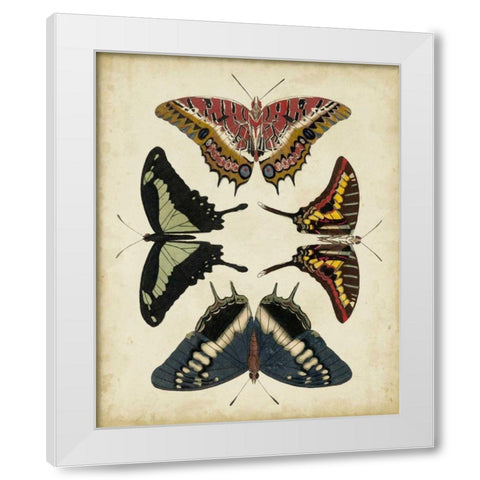Display of Butterflies II White Modern Wood Framed Art Print by Vision Studio