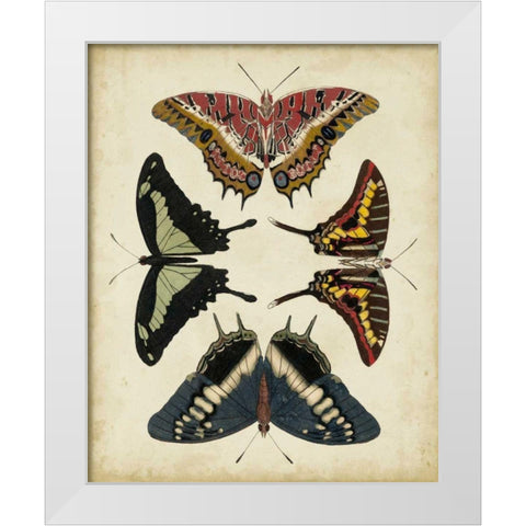 Display of Butterflies II White Modern Wood Framed Art Print by Vision Studio