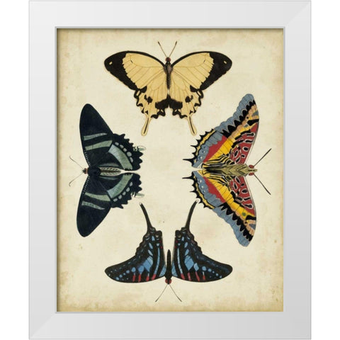 Display of Butterflies III White Modern Wood Framed Art Print by Vision Studio