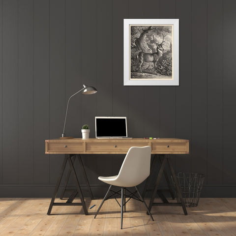 Woodland Deer I White Modern Wood Framed Art Print by Ridinger