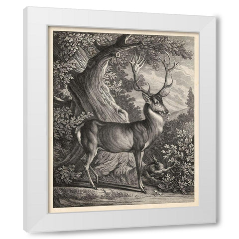 Woodland Deer I White Modern Wood Framed Art Print by Ridinger