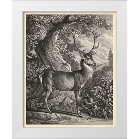Woodland Deer I White Modern Wood Framed Art Print by Ridinger
