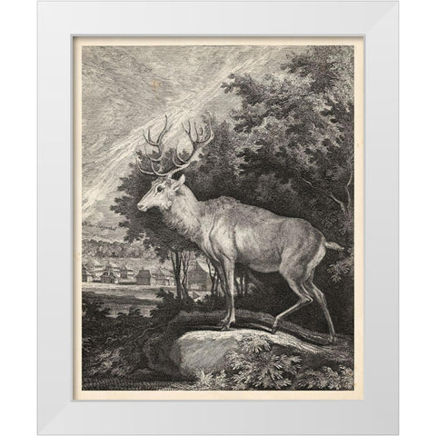 Woodland Deer II White Modern Wood Framed Art Print by Ridinger