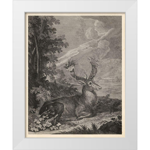 Woodland Deer III White Modern Wood Framed Art Print by Ridinger