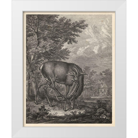 Woodland Deer IV White Modern Wood Framed Art Print by Ridinger
