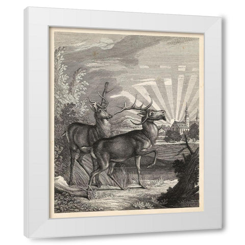 Woodland Deer V White Modern Wood Framed Art Print by Ridinger
