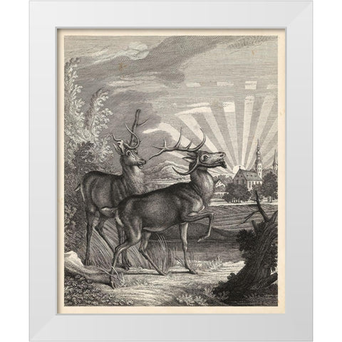 Woodland Deer V White Modern Wood Framed Art Print by Ridinger