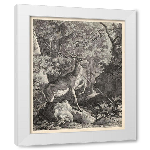 Woodland Deer VII White Modern Wood Framed Art Print by Ridinger