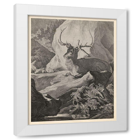 Woodland Deer VIII White Modern Wood Framed Art Print by Ridinger