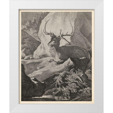 Woodland Deer VIII White Modern Wood Framed Art Print by Ridinger