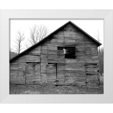 Weather Worn III White Modern Wood Framed Art Print by Ludwig, Alicia