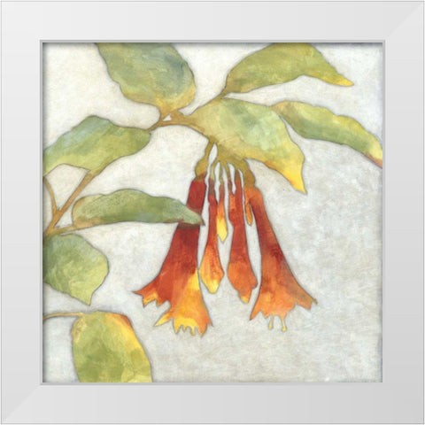 Fuchsia Blooms I White Modern Wood Framed Art Print by Meagher, Megan