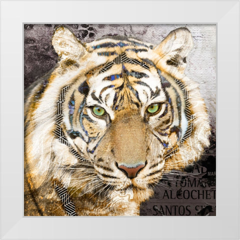 Pop Art - Tiger White Modern Wood Framed Art Print by Inner Circle