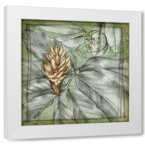 Postmark Tropicals II White Modern Wood Framed Art Print by Goldberger, Jennifer