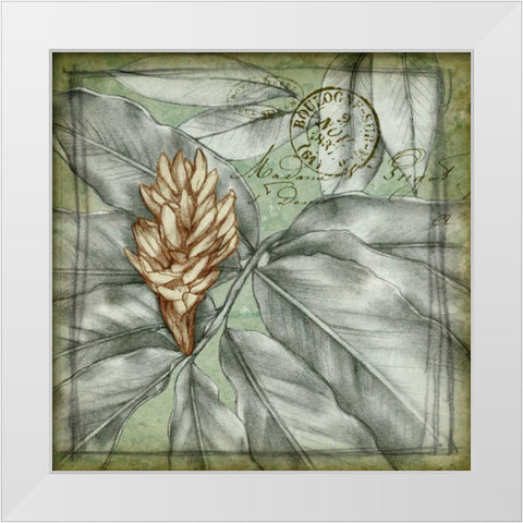 Postmark Tropicals II White Modern Wood Framed Art Print by Goldberger, Jennifer