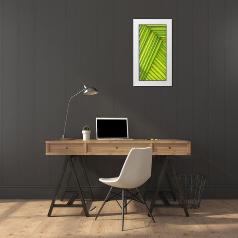 Line Study Green White Modern Wood Framed Art Print by McMullen, Charles