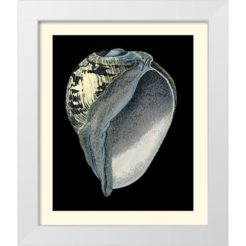 Treasures of the Sea VI White Modern Wood Framed Art Print by Redoute, Pierre