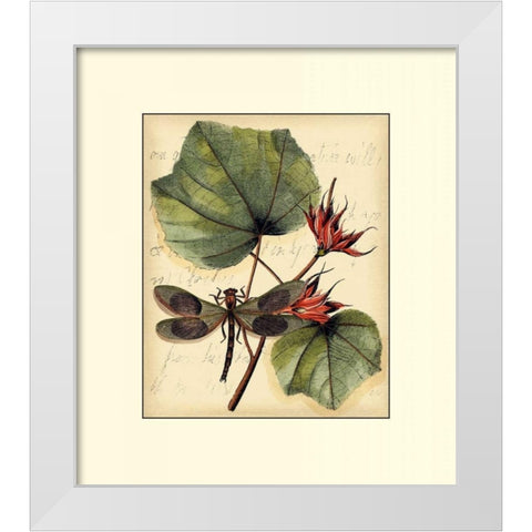 Petite Dragonflies I White Modern Wood Framed Art Print by Vision Studio