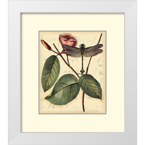 Petite Dragonflies IV White Modern Wood Framed Art Print by Vision Studio