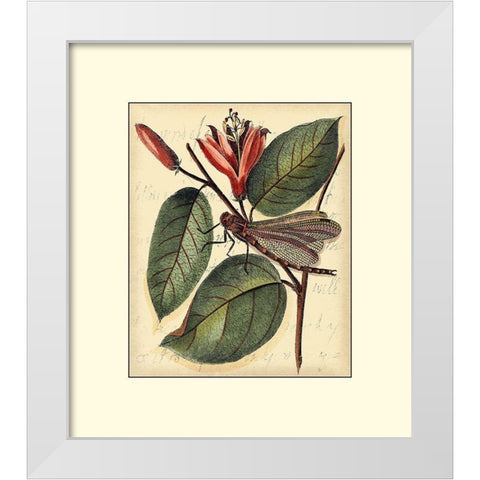 Petite Dragonflies V White Modern Wood Framed Art Print by Vision Studio