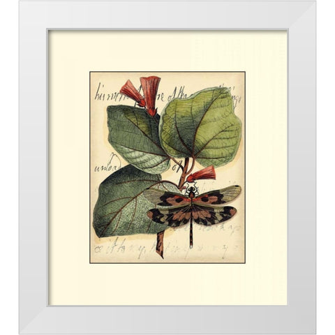 Petite Dragonflies VI White Modern Wood Framed Art Print by Vision Studio