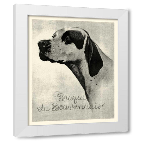 B and W Brague du Bourbonnais White Modern Wood Framed Art Print by Vision Studio