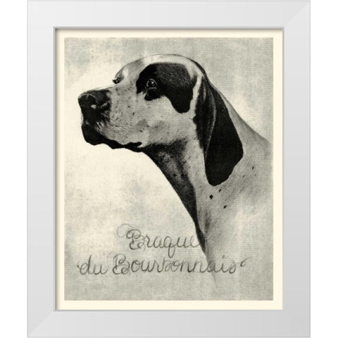 B and W Brague du Bourbonnais White Modern Wood Framed Art Print by Vision Studio