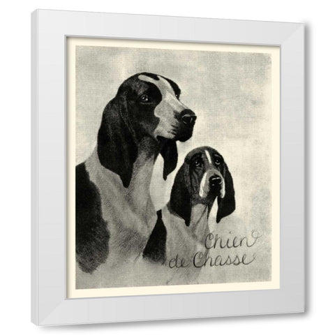 B and W Chien de Chasse White Modern Wood Framed Art Print by Vision Studio