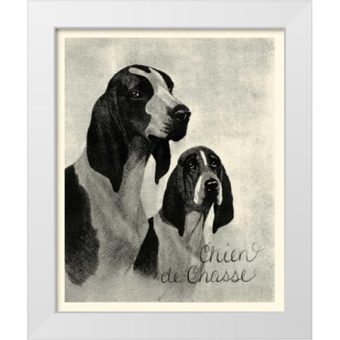 B and W Chien de Chasse White Modern Wood Framed Art Print by Vision Studio