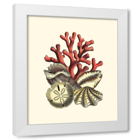 Coral Medley II White Modern Wood Framed Art Print by Vision Studio