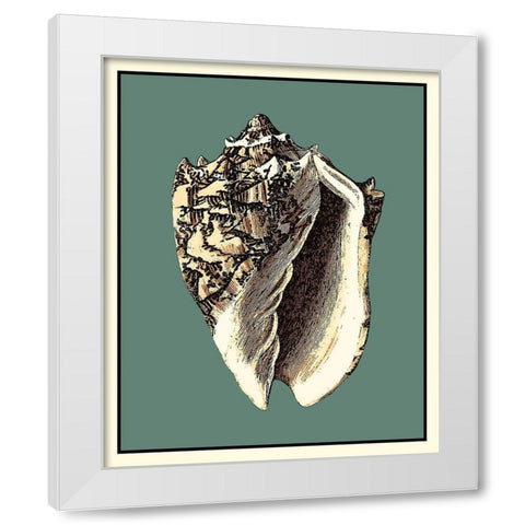 Oceans Treasure I White Modern Wood Framed Art Print by Vision Studio