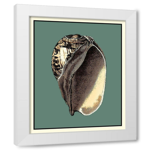 Oceans Treasure II White Modern Wood Framed Art Print by Vision Studio