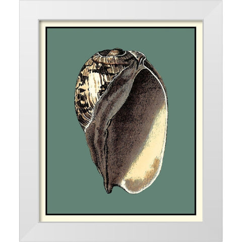 Oceans Treasure II White Modern Wood Framed Art Print by Vision Studio