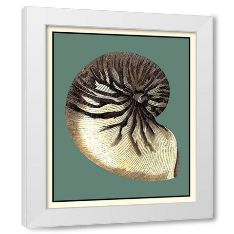 Oceans Treasure III White Modern Wood Framed Art Print by Vision Studio
