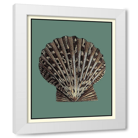 Oceans Treasure IV White Modern Wood Framed Art Print by Vision Studio
