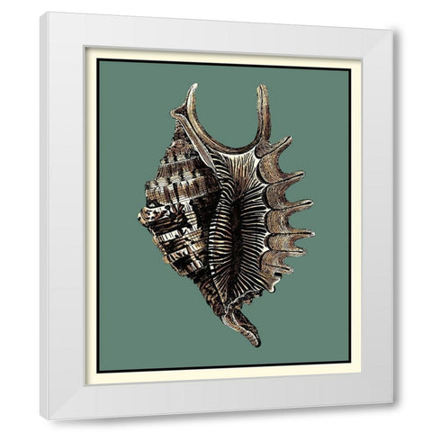 Oceans Treasure V White Modern Wood Framed Art Print by Vision Studio