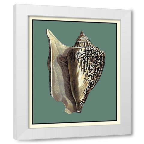 Oceans Treasure VI White Modern Wood Framed Art Print by Vision Studio