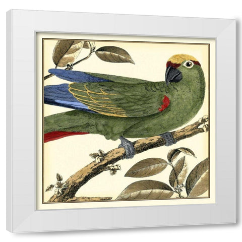 Tropical Parrot I White Modern Wood Framed Art Print by Martinet
