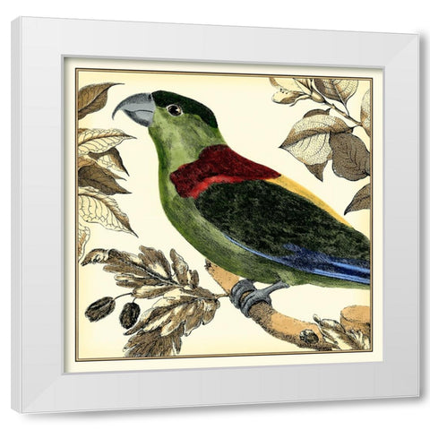 Tropical Parrot IV White Modern Wood Framed Art Print by Martinet