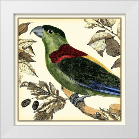 Tropical Parrot IV White Modern Wood Framed Art Print by Martinet