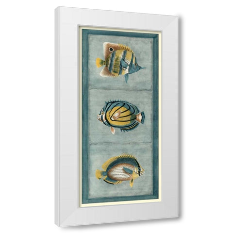 Tropical Fish Trio I White Modern Wood Framed Art Print by Vision Studio