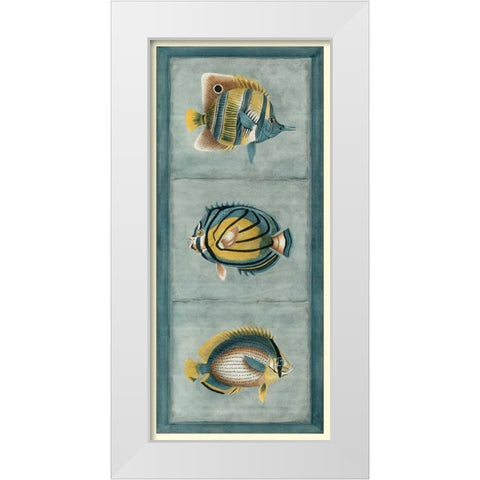Tropical Fish Trio I White Modern Wood Framed Art Print by Vision Studio