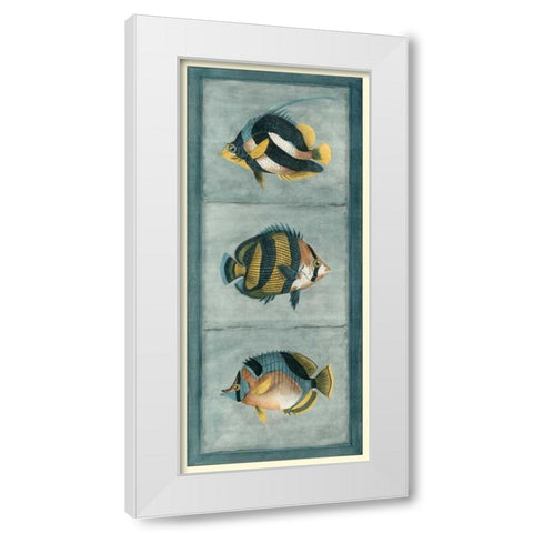 Tropical Fish Trio II White Modern Wood Framed Art Print by Vision Studio