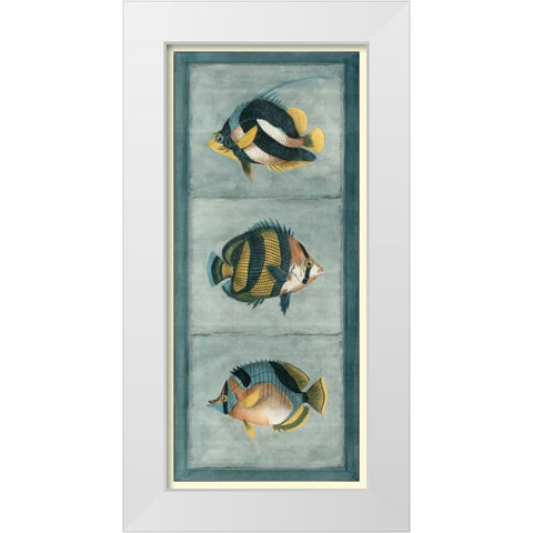 Tropical Fish Trio II White Modern Wood Framed Art Print by Vision Studio