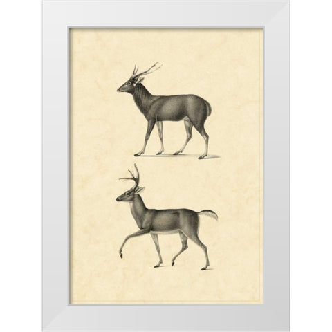Vintage Deer II White Modern Wood Framed Art Print by Vision Studio