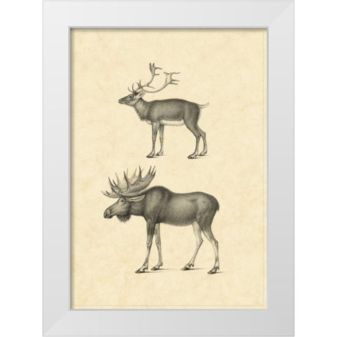 Vintage Elk White Modern Wood Framed Art Print by Vision Studio
