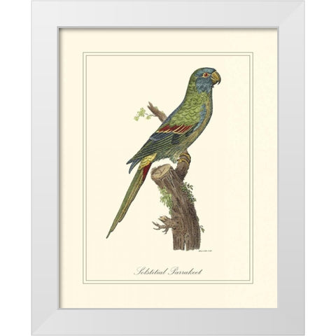 Solstitial Parrakeet White Modern Wood Framed Art Print by Edwards, George