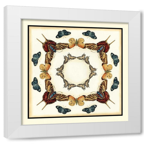 Butterfly Collector I White Modern Wood Framed Art Print by Zarris, Chariklia