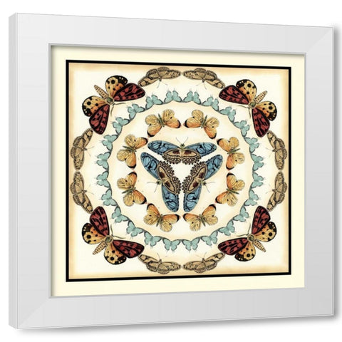 Butterfly Collector IV White Modern Wood Framed Art Print by Zarris, Chariklia